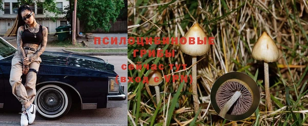 mdma Санкт-Петербург