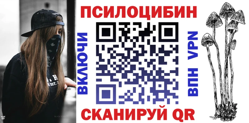 Псилоцибиновые грибы Cubensis как найти наркотики hydra ссылка Новокузнецк
